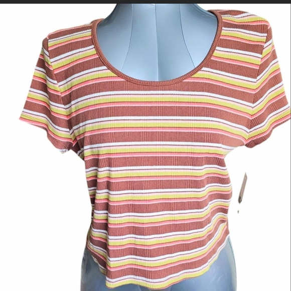 SO Orange and Pink Crop Top Fitted T-Shirt - Picture 1 of 6